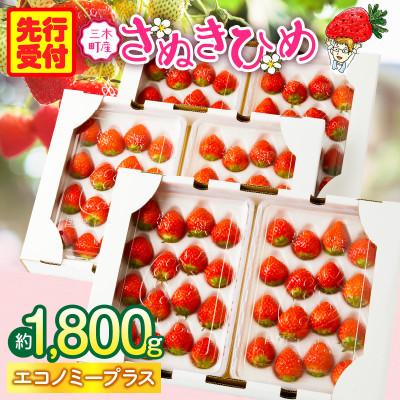 ふるさと納税 三木町 『苺音エコノミープラス+』〜さぬきひめずくめな1週間が楽しめるセット〜[2026年2月〜5月配送]
