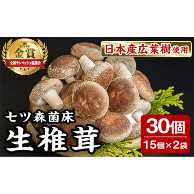 ふるさと納税 大和町 七ツ森菌床椎茸 15個×2袋