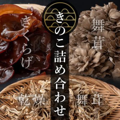 ふるさと納税 大和町 七つ森ふもと舞茸 詰め合わせギフトセット Lサイズ(舞茸500g・きくらげ300g・乾燥舞茸50g)