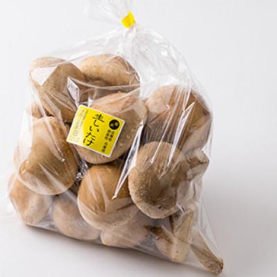 ふるさと納税 上郡町 玉兎(生しいたけ) 500g×1
