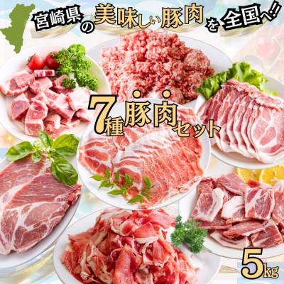 ふるさと納税 宮崎市 宮崎県産 7種豚肉セット 12パック 合計5kg