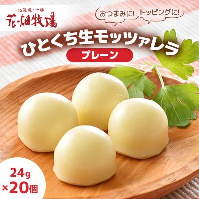 ふるさと納税 音更町 花畑牧場 ひとくち生モッツァレラ プレーン 24g×20個セット