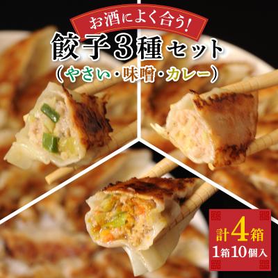 ふるさと納税 八雲町 八雲やさい餃子(10個×2箱)+もろみ味噌餃子(10個×1箱)+スパイシーカレー餃子(10個×1箱)