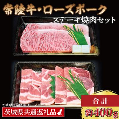 ふるさと納税 大洗町 「常陸牛・ローズポーク」ステーキ焼肉セット(3人前)(ステーキ約200g、ポーク約200g)