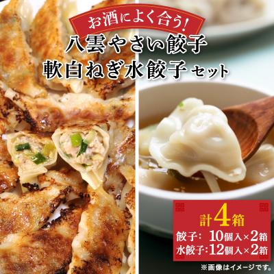 ふるさと納税 八雲町 お酒によく合う 八雲やさい餃子(10個入×2箱)+八雲産軟白ねぎ水餃子(12個入×2箱)