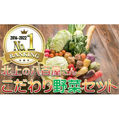 ふるさと納税 北上市 [8年連続1位]野菜セットA 7品 以上