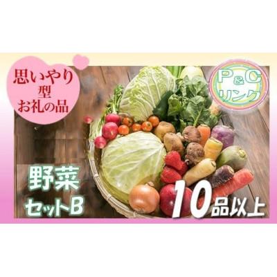ふるさと納税 北上市 野菜セットB 10品 以上