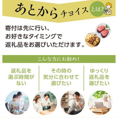 ふるさと納税 白川村 ＼あとから選べる/オンラインカタログ あとからチョイス [S624] |  | 02