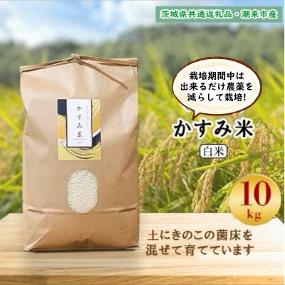 ふるさと納税 鹿嶋市 令和8年新米 栽培期間出来るだけ農薬を減らして作る「かすみ米」精米10kg茨城県共通返礼品・潮来市産