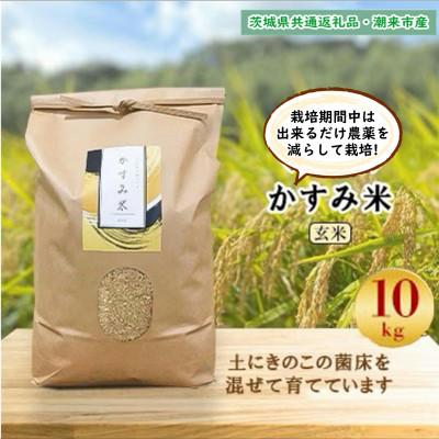 ふるさと納税 鹿嶋市 令和8年新米 栽培期間出来るだけ農薬を減らして作る「かすみ米」玄米10kg茨城県共通返礼品・潮来市産