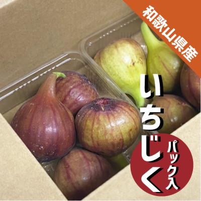 ふるさと納税 紀の川市 いちじく 2パック(約600g) 和歌山県 紀の川市産
