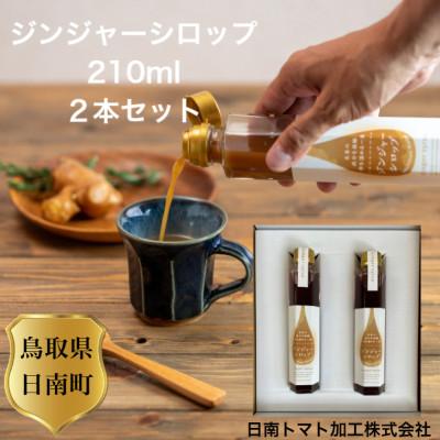 ふるさと納税 日南町 日南町 ジンジャーシロップ 2本 セット
