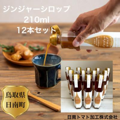 ふるさと納税 日南町 鳥取県日南町 ジンジャーシロップ 12本 セット