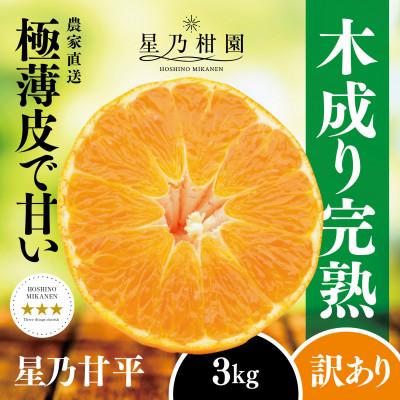 ふるさと納税 八幡浜市 [訳あり]星乃みかん園の甘平(3kg)[C45-88]