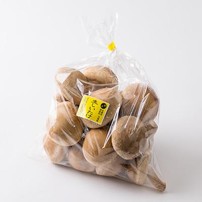 ふるさと納税 上郡町 玉兎(生しいたけ)500g×1、(粉末椎茸)30g×2