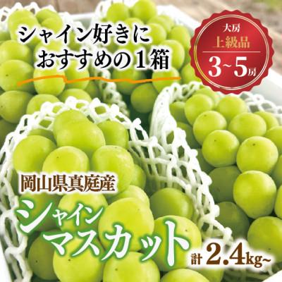 ふるさと納税 真庭市 シャインマスカット 上級品 大3-5房/計2.4kg〜(岡山県産) 食べ応え満点のシャインをお届け!