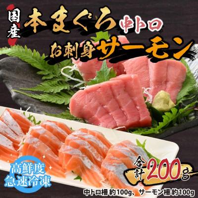 ふるさと納税 福井市 [市場直送]本まぐろ中とろ(柵)100gとお刺身サーモン(柵)100gセット