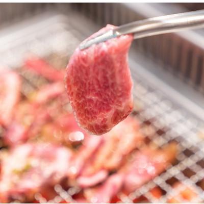 ふるさと納税 宇土市 氷温熟成 黒毛和牛 焼肉 800g(炙り焼きしゃぶ)