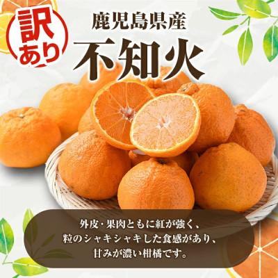 ふるさと納税 阿久根市 訳あり不知火【大将季】約4キロ |  | 01