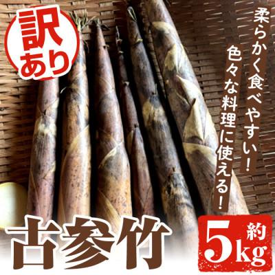 ふるさと納税 阿久根市 数量限定 訳あり!古参竹 約5kg[先行予約2026年4月下旬〜発送][松永青果]akn053-22