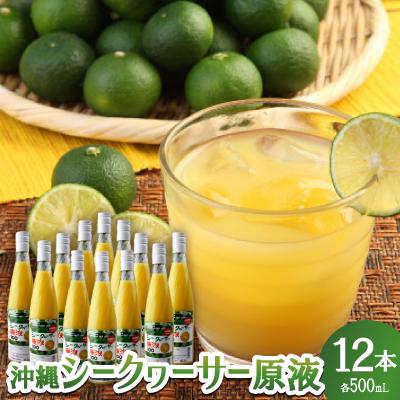ふるさと納税 名護市 沖縄シークヮーサー原液 1ケース (500ml×12本)