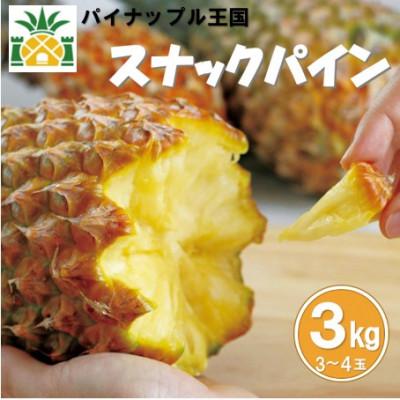 ふるさと納税 名護市 [2026年5月〜6月頃の発送]スナックパイン3kg(3〜4玉)