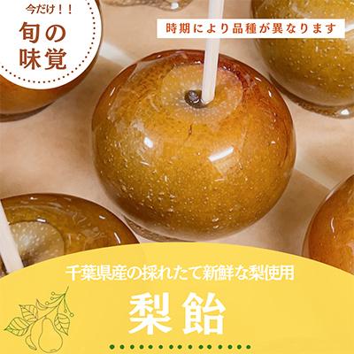 ふるさと納税 旭市 [今だけ!旬の味覚]千葉県産の採れたて新鮮な梨を使用した梨飴 5個