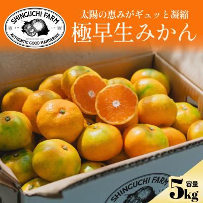 ふるさと納税 八幡浜市 [先行受付]五代目が厳選した[極早生みかん5kg]愛媛県川上産[C70-34]