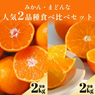ふるさと納税 八幡浜市 みかん+まどんな 人気2品種食べ比べ [各2kg][D70-36]