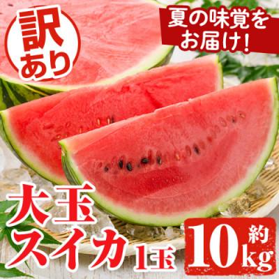 ふるさと納税 阿久根市 訳あり 大玉すいか 1玉(約10kg)[先行予約2026年6月下旬〜][松永青果]akn053-21