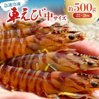 ふるさと納税 宜野座村 [養殖場から直送]急速冷凍車えび 中サイズ 約500g(22〜26尾/500g×1P)