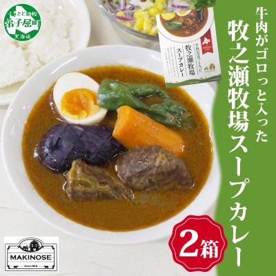 ふるさと納税 弟子屈町 ビーフスープカレー 300g 2箱 牛肉ゴロっと 牧之瀬牧場 北海道 弟子屈町 3021