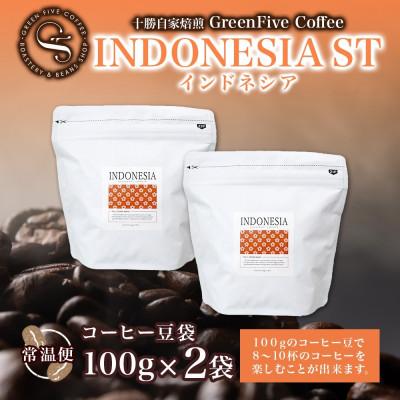 ふるさと納税 帯広市 コーヒー豆 インドネシア 100g 2袋 鮮度を高めたスペシャルティコーヒー 北海道 帯広市_3