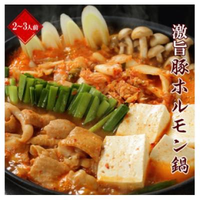 ふるさと納税 北上市 やまなか家 ホルモン鍋[ 麺付き ](K4-006)2〜3人用