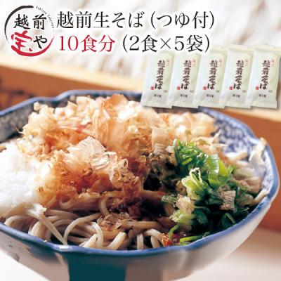 ふるさと納税 福井市 越前そば 生蕎麦 10食 つゆ付き | 