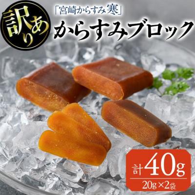 ふるさと納税 門川町 ≪訳あり≫「宮崎からすみ寒」ブロック(計40g・20g×2袋)