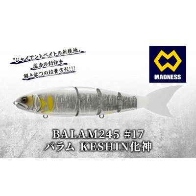 ふるさと納税 京田辺市 BALAM245 #17 バラム KESHIN化神 [マドネス、ビックベイト、釣り、ルアー]