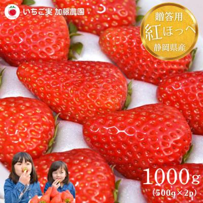 ふるさと納税 静岡市 [2026年出荷の先行予約][贈答用]静岡県産紅ほっぺ500g×2パック