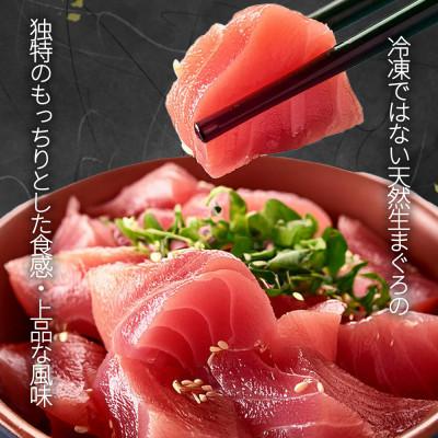 ふるさと納税 美浜町 那智勝浦直送!天然生まぐろ 柵 500g : Yahoo