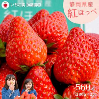 ふるさと納税 静岡市 [2026年出荷の先行予約]静岡県産いちご 紅ほっぺ 280g×2パック