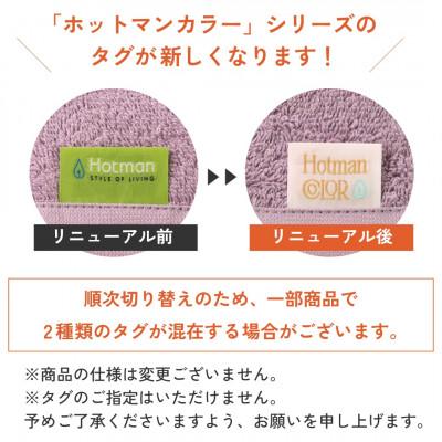 ふるさと納税 川越市 【1秒タオル】ホットマンカラー12 ライトフェイスタオル3枚セット_2