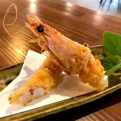 ふるさと納税 宜野座村 【養殖場から直送】急速冷凍車えび 大サイズ