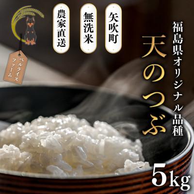 ふるさと納税 矢吹町 [令和8年産米先行受付]無洗米 農家直送 ベルライスファームの天のつぶ 5kg