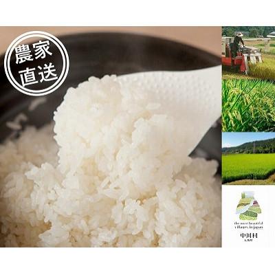 ふるさと納税 中川村 信州産コシヒカリ「桃つや米」5kg