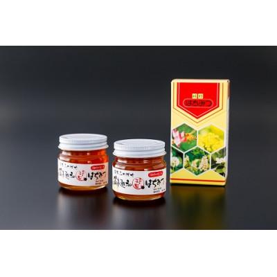 ふるさと納税 中川村 中川はちみつ工房特製はちみつ(日本みつばち) 100g×2本
