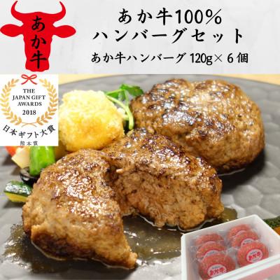 ふるさと納税 山鹿市 あか牛100%ハンバーグセット(あか牛ハンバーグ120g×6個)(山鹿市)