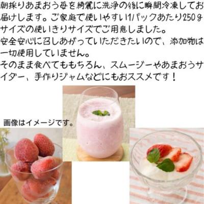 ふるさと納税 大川市 福岡県産 冷凍あまおう500g(250g×2個)(大川市) |  | 01