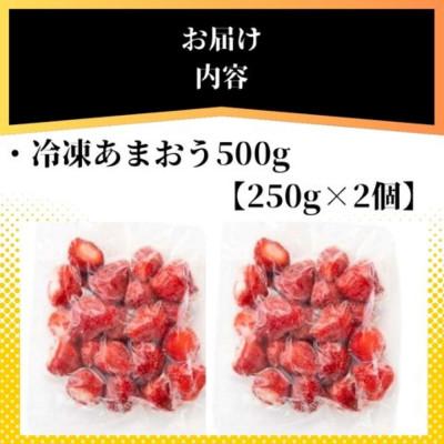 ふるさと納税 大川市 福岡県産 冷凍あまおう500g(250g×2個)(大川市) |  | 02