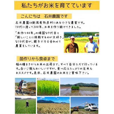 ふるさと納税 弥彦村 新潟県弥彦村石井農園　令和7年産 コシヒカリ【玄米 20kg】_1