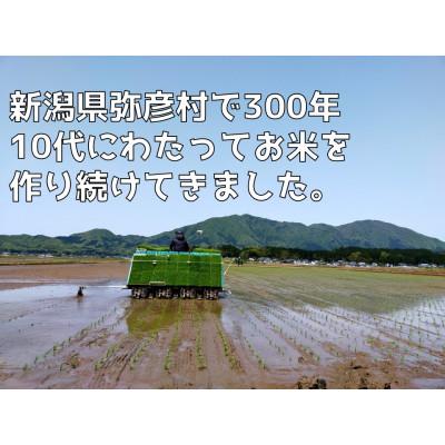 ふるさと納税 弥彦村 新潟県弥彦村石井農園　令和7年産 コシヒカリ【玄米 20kg】_2